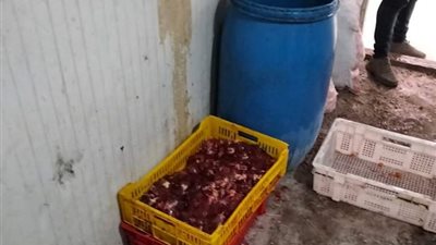 صحة القليوبية: المرور على 102 منشأة لضبط الأغذية الفاسدة وغير الصالحة للاستهلاك الآدمي 