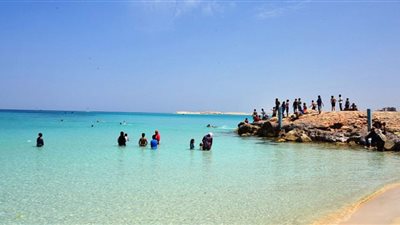 متأثرا بحادث القرش.. مسئول إنقاذ يثير الرعب ويطلب من الجميع ترك الشاطئ 