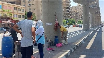 الحكومة تتخذ إجراءات عاجلة ضد جزار عمود المونوريل