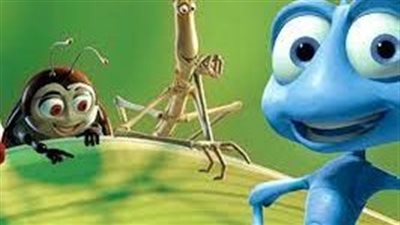 طرق التخلص من حشرات الصيف.. احذري 7 أشياء جاذبة للحشرات في منزلك