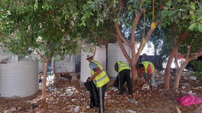 تحذيرات بسفاجا من الحشرات الناقلة للأمراض.. ومناشدات للمواطنين بإحكام غلق خزانات المياه