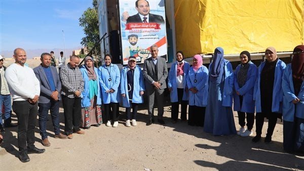 حسن شحاتة وزير العمل