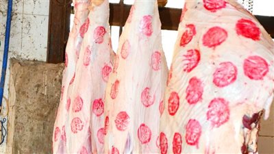 رفعت أسعار اللحوم في مصر 50%.. سلامة الغذاء تستعد لتقديم بلاغ عاجل للنائب العام ضد شركة تلاعبت بالأسعار 