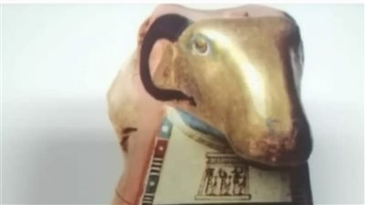 متحف التحنيط يعرض كبشا محنطا مغطى بقناع مذهب من الكرتوناج