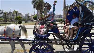 جولة حرة لـ 300 سائح في شوارع بورسعيد