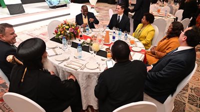 رئيس جامعة عين شمس يلتقي نائب رئيس دولة ناميبيا