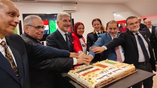 القنصلية المصرية