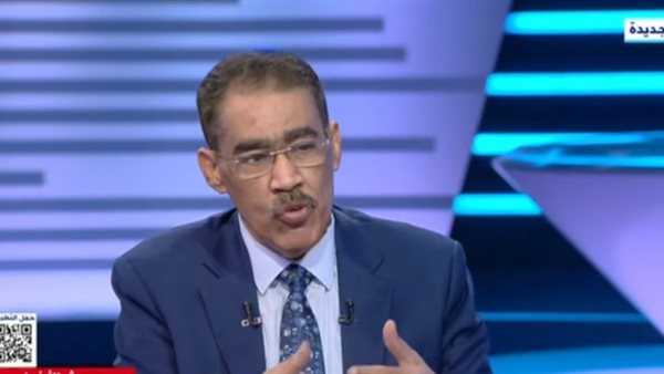  ضياء رشوان المنسق