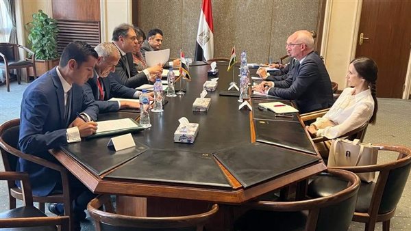 مشاورات مصرية - مجرية