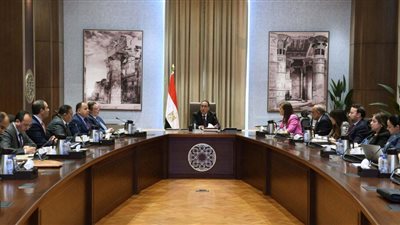 معلومات الوزراء: 70 مليار جنيه حصيلة مستهدفة من برنامج الطروحات الحكومية العام المقبل 