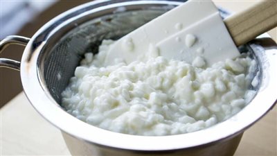 طريقة عمل الجبنة القريش من اللبن الرايب.. وصفات صحية للجبنة البيضاء