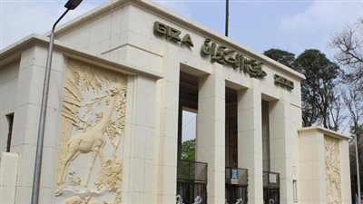 الزراعة: لا صحة لقطع أشجار حديقة الحيوان.. وما يحدث خطة للتطوير