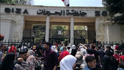 مدير حدائق الحيوان بوزارة الزراعة: خطة تطوير حديقة الجيزة حصلت على موافقة الاتحاد الإفريقي