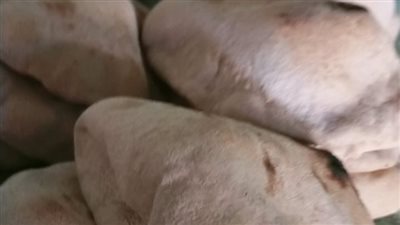 التموين: ضبط 8 آلاف طن قمح مهربة خلال حملة مكبرة على الأسواق والمخابز بمطروح