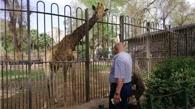 الزراعة تعلن موعد افتتاح حديقة الحيوان بالجيزة