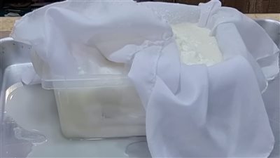 كم جرام بروتين في 100 جرام جبنة قريش؟.. تساعد على بناء العضلات