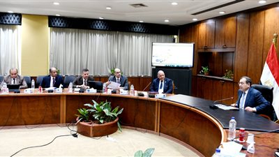 وزير البترول يتابع تنفيذ مجمع إنتاج السيليكون
