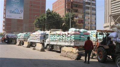 صوامع المنوفية تستقبل 123587 طنا من القمح بعد انتهاء موسم الحصاد