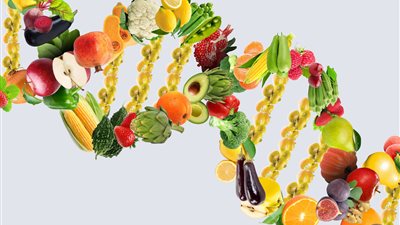 أفضل أنظمة غذائية تساعد على التخلص من الوزن