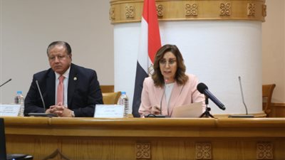 نيفين الكيلاني: ثورة 30 يونيو علامة فارقة في تاريخ مصر الحديث