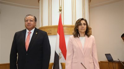 رئيس الأعلى للثقافة: نزول المواطنين في 30 يونيو دفاع عن الهوية 