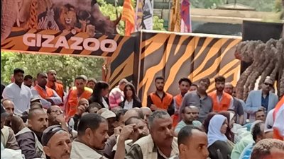 تأمين صحي وتغيير مواعيد العمل.. قرارات جديدة بشأن عمال حديقتي الحيوان والأورمان