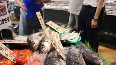 بسبب المياه المشعة.. هونج كونج تحظر المنتجات البحرية اليابانية