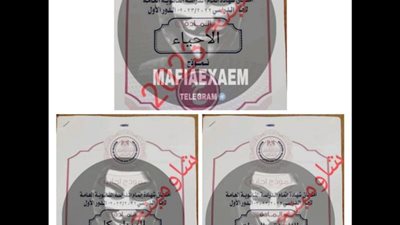 جروب سري ومستشار بالوزارة.. القاهرة 24 يتتبع مزاعم أدمن شاومينج لتسريب امتحانات الثانوية وتعديل النتيجة بالأموال | تحقيق