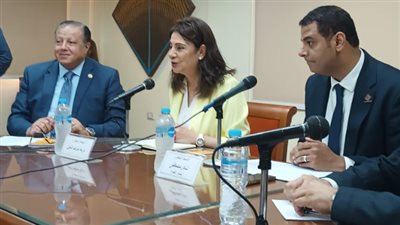 المجلس الأعلى للثقافة يلقي الضوء على ثورة يونيو وحروب السوشيال ميديا