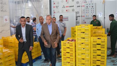 لتوفير فرص عمل.. محافظ القليوبية يتفقد مصانع المنطقة الاستثمارية ببنها 