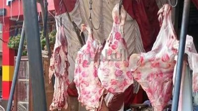 الكيلو بـ 260 جنيهًا.. استمرار منافذ بيع اللحوم البلدية والسلع الغذائية بأسعار مخفضة في مراكز المنيا 