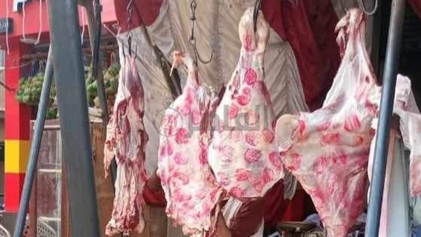 حملات تفتيشية بالمنيا