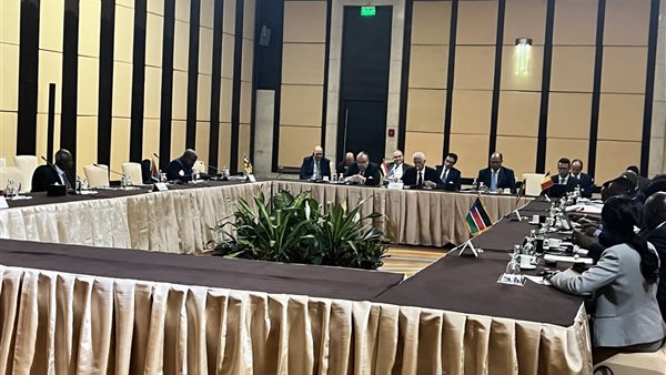 قمة دول جوار السودان