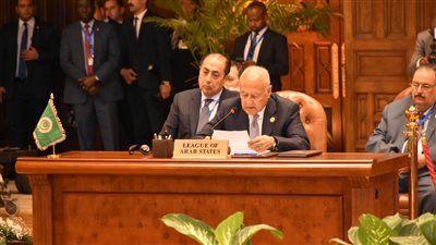 معارضة التدخل الخارجي.. أبو الغيط يستعرض محددات الموقف العربي بشأن الأزمة السودانية في قمة دول الجوار