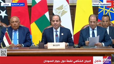 السيسي: إنشاء آلية وزارية لوضع خطة عمل لوقف إطلاق النار وحل شامل للأزمة السودانية