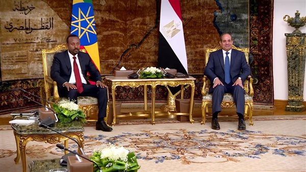 لقاء الرئيس السيسي