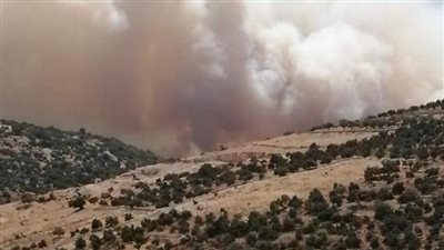 حرائق في غابات بالأردن.. وسلاح الجو الملكي يتدخل لإخمادها 