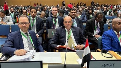 وفد مصري يشارك في أعمال الدورة الـ 43 من أعمال المجلس التنفيذي للاتحاد الإفريقي