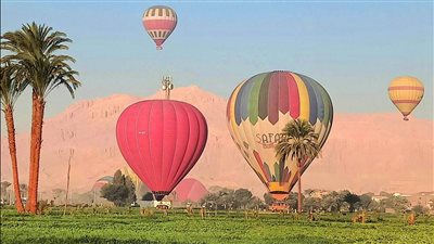 هبوط اضطراري لـ بالون طائر في أرض زراعية بالأقصر يتسبب في تلف القصب