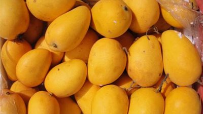 المانجو السكري بـ25 جنيها.. أسعار الخضراوات والفاكهة اليوم الجمعة 21 يوليو 2023