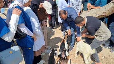 جامعة الإسكندرية: الكشف على 2716 حيوان خلال 9 قوافل بيطرية في قرى أبيس