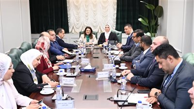 الهجرة تقترح إنشاء صندوق أو وثيقة تتضمن مزايا الدعم الاجتماعي وطرحها للحوار بمؤتمر المصريين بالخارج