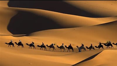 بحضور وزير الأوقاف والمفتي ومندوب عن الإمام الطيب.. المشيخة العامة للطرق الصوفية تحتفل اليوم بذكرى الهجرة النبوية 