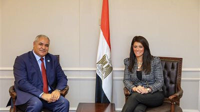 المشاط تبحث مع ممثل الفاو تطورات التعاون لدعم الأمن الغذائي والتنمية الريفية في مصر