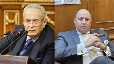 الكبار في قضية واحدة.. أشرف نبيل وبهاء أبو شقة يودعان مذكرتي الطعن في قضية صيدلي حلوان 