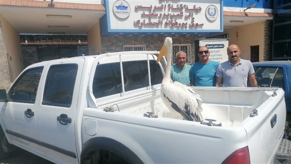 البيئة تنجح في إنقاذ