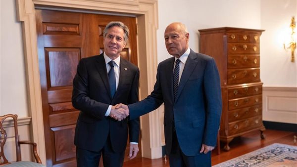 أبوالغيط يلتقي وزير