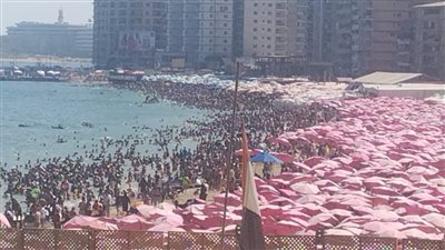 في العيد القومي للإسكندرية.. تعرف على أبرز مشروعات المحافظة