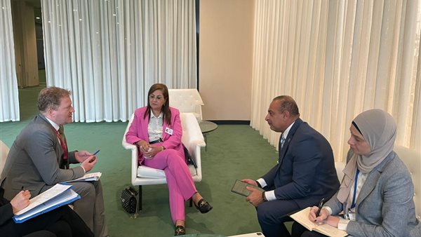 وزيرة التخطيط