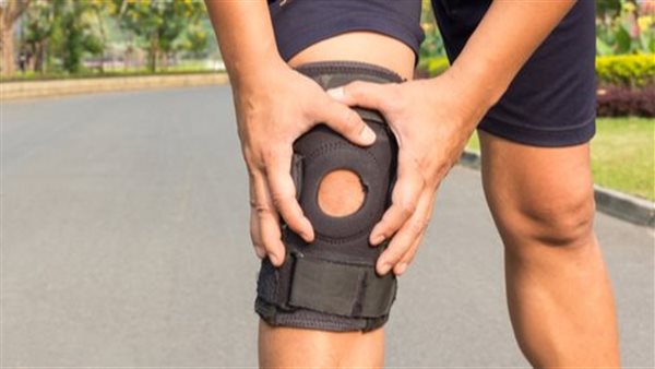 أوتار الركبة 